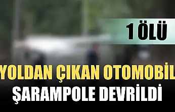 Yoldan çıkan otomobil şarampole devrildi 1 ölü