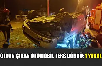 Yoldan çıkan otomobil ters döndü 1 yaralı
