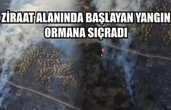 Ziraat alanında başlayan yangın ormana sıçradı