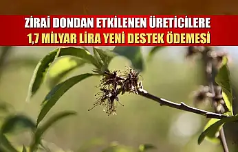 Zirai dondan etkilenen üreticilere 1,7 milyar lira yeni destek ödemesi