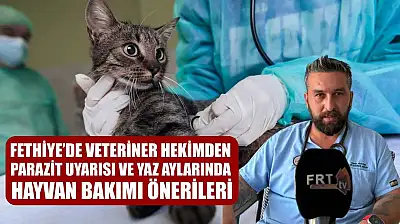 Fethiye'de Veteriner Hekimden Parazit Uyarısı ve Yaz Aylarında Hayvan Bakımı Önerileri