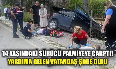 14 yaşındaki sürücü palmiyeye çarptı! Yardıma gelen vatandaş şoke oldu
