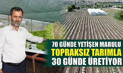 70 günde yetişen marulu topraksız tarımla 30 günde üretiyor