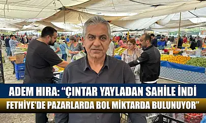 Adem Hıra: 'Çıntar yayladan sahile indi, Fethiye'de pazarlarda bol miktarda bulunuyor'