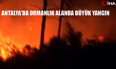 Antalya'da ormanlık alanda büyük yangın