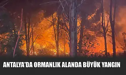 Antalya'da ormanlık alanda büyük yangın