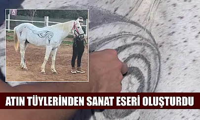 Atın tüylerinden sanat eseri oluşturdu