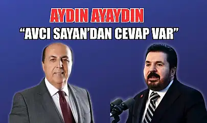 Aydın Ayaydın, 'Savcı Sayan'dan cevap var'