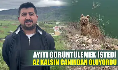 Ayıyı görüntülemek istedi, az kalsın canından oluyordu