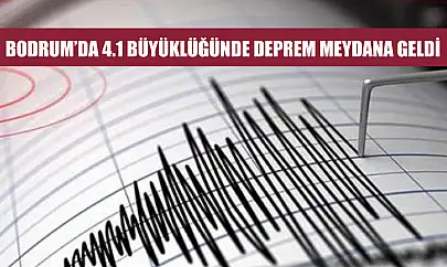 Bodrum'da 4.1 büyüklüğünde deprem meydana geldi