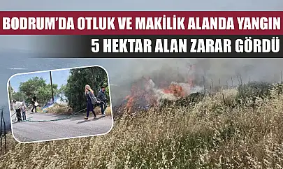Bodrum'da otluk ve makilik alanda yangın: 5 hektar alan zarar gördü