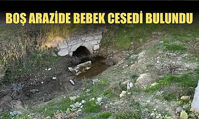Boş arazide bebek cesedi bulundu