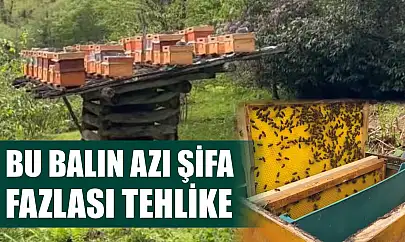 Bu balın azı şifa, fazlası tehlike