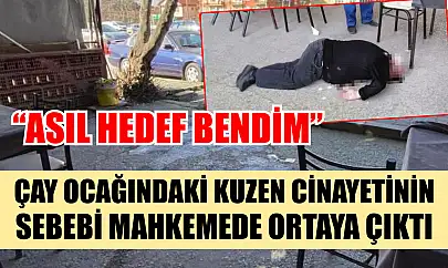 Çay ocağındaki kuzen cinayetinin sebebi mahkemede ortaya çıktı: 'Asıl hedef bendim'
