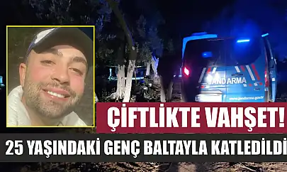 Çiftlikte vahşet!  25 yaşındaki genç baltayla katledildi