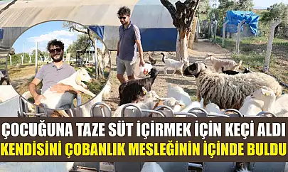 Çocuğuna taze süt içirmek için keçi aldı, kendisini çobanlık mesleğinin içinde buldu