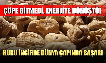 Çöpe gitmedi, enerjiye dönüştü! Kuru İncirde dünya çapında başarı