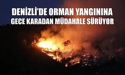 Denizli'de orman yangınına gece karadan müdahale sürüyor