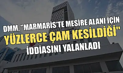 DMM, 'Marmaris'te mesire alanı için yüzlerce çam kesildiği' iddiasını yalanladı