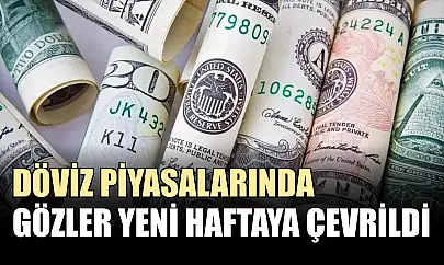 Döviz piyasalarında gözler yeni haftaya çevrildi