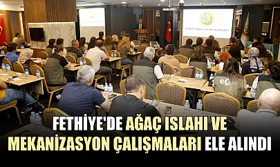 Fethiye'de ağaç ıslahı ve mekanizasyon çalışmaları ele alındı