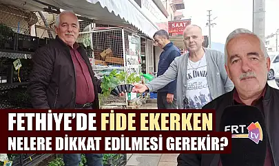 Fethiye'de fide ekerken nelere dikkat edilmesi gerekir?