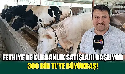 Fethiye'de kurbanlık satışları başlıyor 300 bin TL'ye büyükbaş!