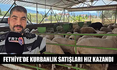 Fethiye'de kurbanlık satışları hız kazandı