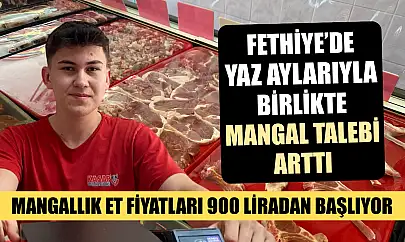 Fethiye'de yaz aylarıyla birlikte mangal talebi arttı