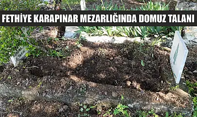 Fethiye Karapınar mezarlığında domuz talanı