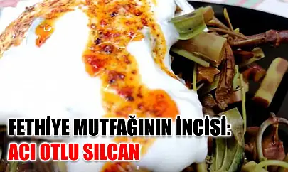 Fethiye mutfağının incisi: Acı Otlu Sılcan