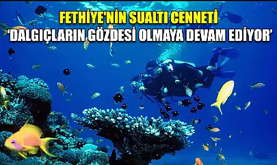 Fethiye'nin sualtı cenneti 'Dalgıçların gözdesi olmaya devam ediyor'