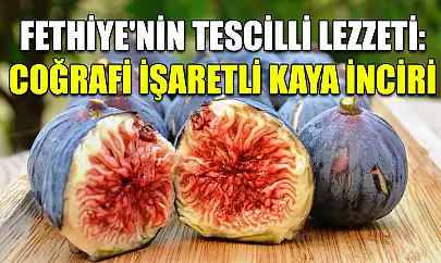 Fethiye'nin tescilli lezzeti: Coğrafi işaretli Kaya İnciri