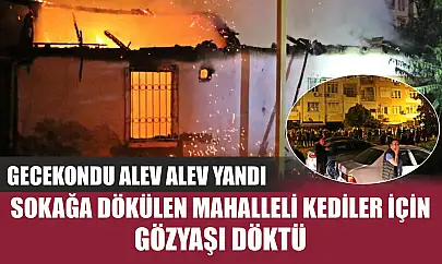 Gecekondu alev alev yandı, sokağa dökülen mahalleli kediler için gözyaşı döktü