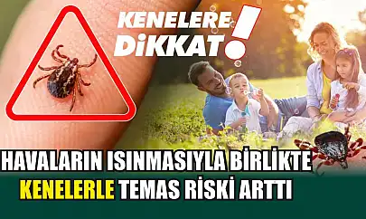 Havaların ısınmasıyla birlikte kenelerle temas riski arttı