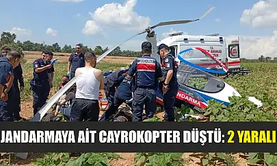Jandarmaya ait cayrokopter düştü: 2 yaralı