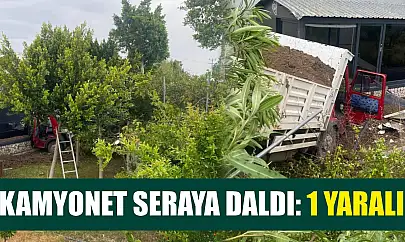 Kamyonet seraya daldı: 1 yaralı