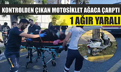 Kontrolden çıkan motosiklet ağaca çarptı: 1 ağır yaralı