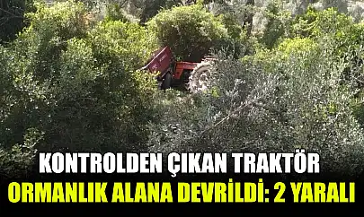 Kontrolden çıkan traktör ormanlık alana devrildi: 2 yaralı