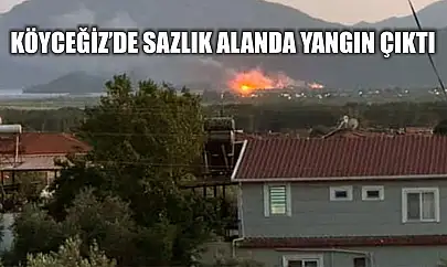 Köyceğiz'de sazlık alanda yangın çıktı