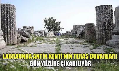 Labraunda Antik Kenti'nin teras duvarları gün yüzüne çıkarılıyor
