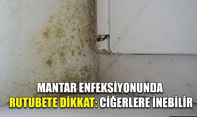 Mantar enfeksiyonunda rutubete dikkat: Ciğerlere inebilir