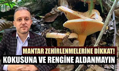Mantar zehirlenmelerine dikkat! Kokusuna ve rengine aldanmayın