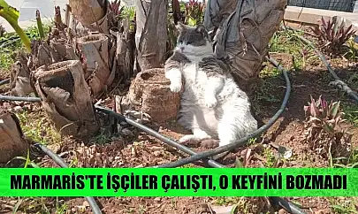 Marmaris'te işçiler çalıştı, o keyfini bozmadı