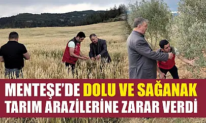 Menteşe'de dolu ve sağanak tarım arazilerine zarar verdi
