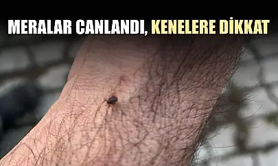 Meralar canlandı, kenelere dikkat