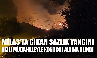 Milas'ta çıkan sazlık yangını hızlı müdahaleyle kontrol altına alındı