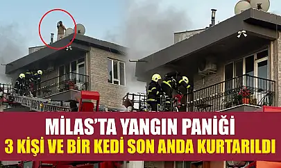 Milas'ta yangın paniği: 3 kişi ve bir kedi son anda kurtarıldı