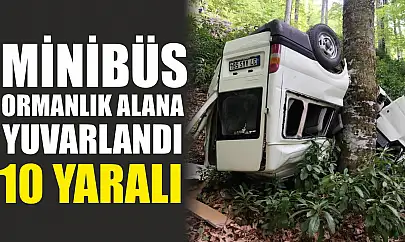 Minibüs ormanlık alana yuvarlandı: 10 yaralı