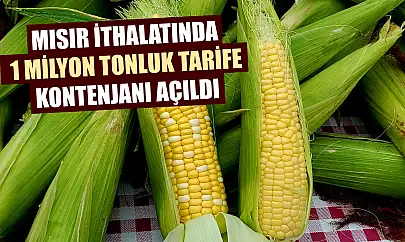 Mısır ithalatında 1 milyon tonluk tarife kontenjanı açıldı
